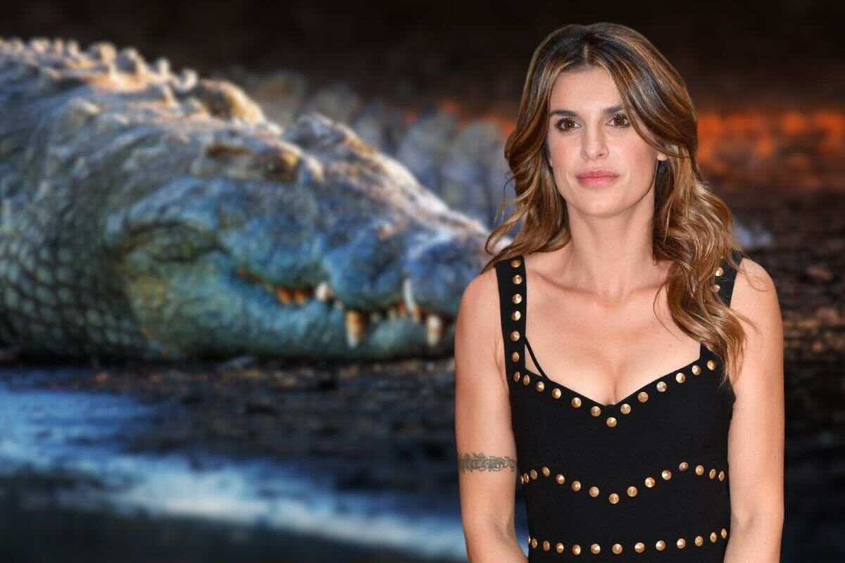 Elisabetta Canalis: cosa è successo a casa sua